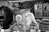_MG_5387.jpg