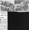 West_MIdlands_Tug_of_War_Team-grey_scale.jpg